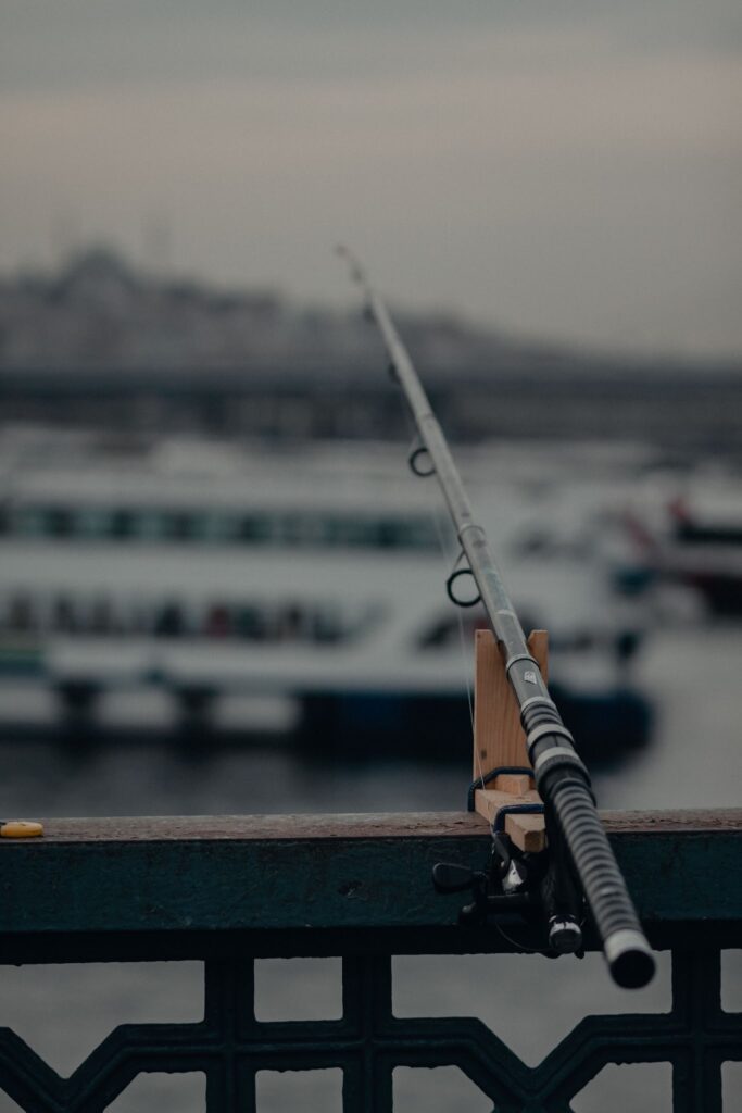 Best Fishing Rod for Beginners (2026 Guide)